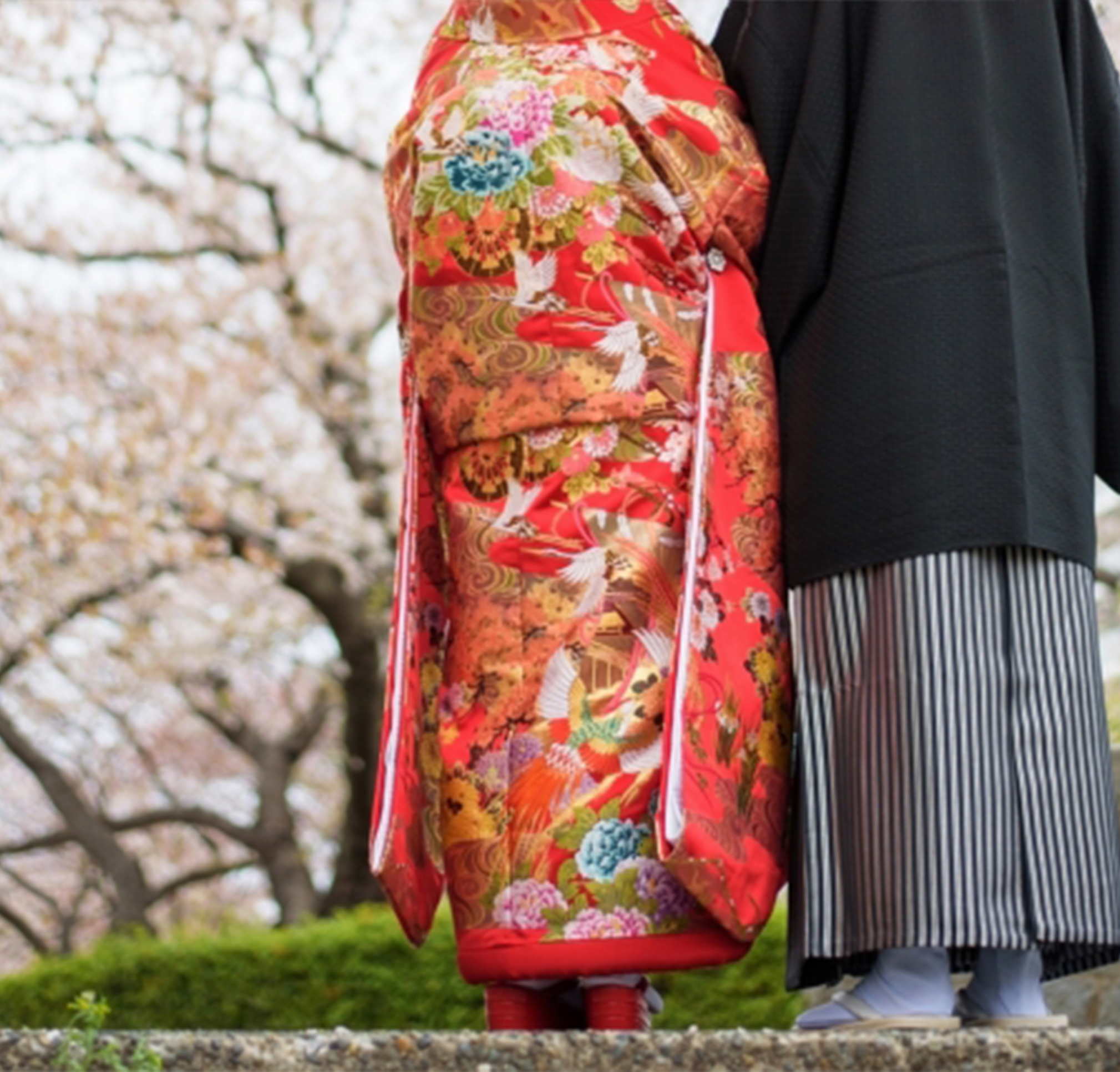当相談所について